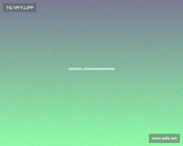 赛事接待服务有什么_赛事接待服务核心内容与全方位优势深度解析